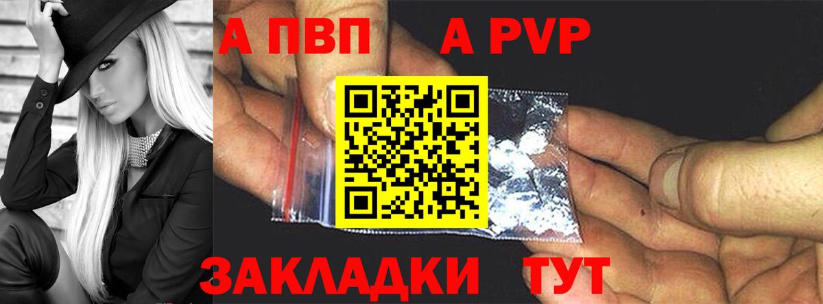 Альфа ПВП СК Шали