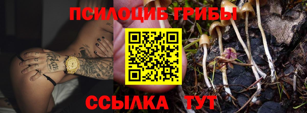 Шали  Псилоцибиновые грибы ЛСД  где купить наркоту  Вход с VPN 